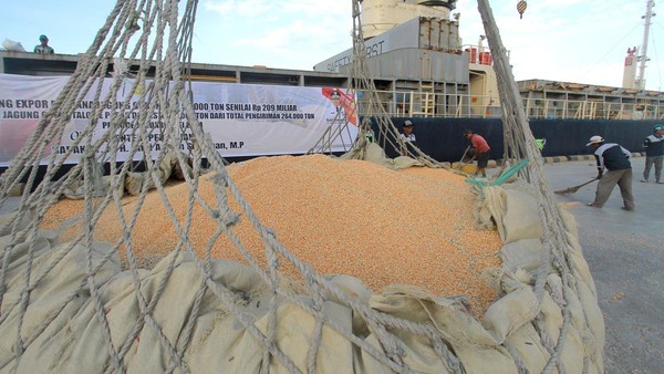 50 Ribu Ton Jagung Diekspor ke Filipina