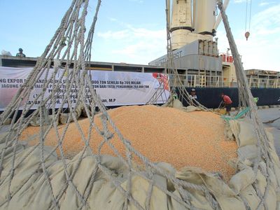 50 Ribu Ton Jagung Diekspor ke Filipina