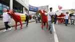 Peternak Sapi di Belgia Demo, Menuntut Harga Susu yang Adil