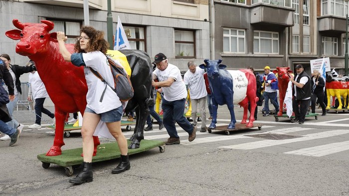 Farmers walk with plastic cows during a demonstration outside of a meeting of EU agriculture ministers in Brussels, Monday, May 27, 2024. European Union agriculture ministers meet in Brussels on Monday to discuss the current situation in the agricultural sector. (AP Photo/Geert Vanden Wijngaert)