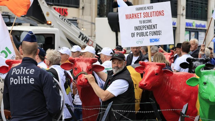 Peternak Sapi di Belgia Demo, Menuntut Harga Susu yang Adil Farmers walk with plastic cows during a demonstration outside of a meeting of EU agriculture ministers in Brussels, Monday, May 27, 2024. European Union agriculture ministers meet in Brussels on Monday to discuss the current situation in the agricultural sector. (AP Photo/Geert Vanden Wijngaert)