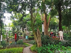 Menyesap Keteduhan Kala Senja di Taman Maluku Bandung