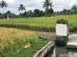 Berbagai Upacara yang Dilakukan Petani dan Subak di Bali
