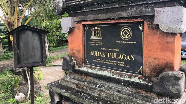 Subak Pulagan di Tampaksiring, Gianyar, Bali, Selasa (28/5/2024).