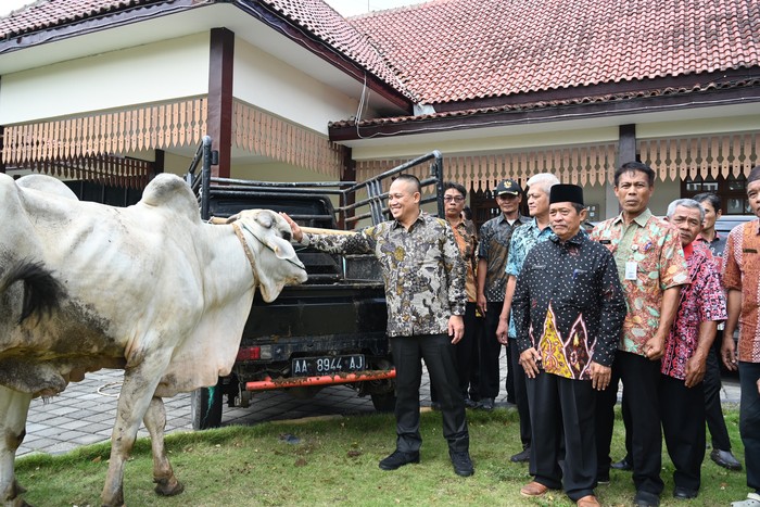Bupati Kebumen Beli Kurban