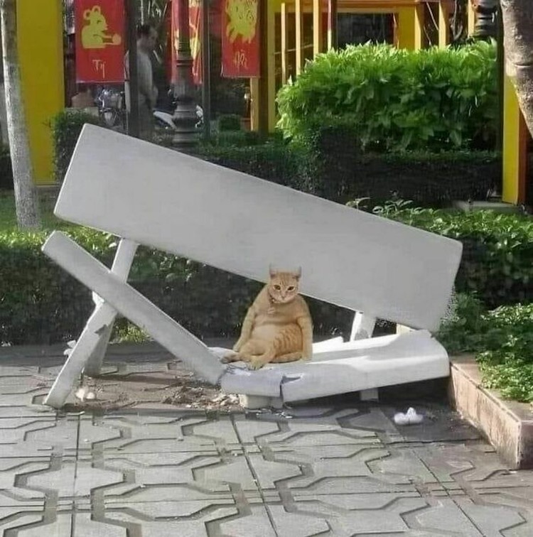 Foto Kocak Bikin Ngakak