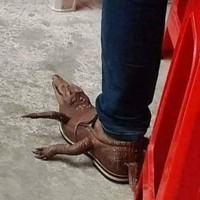 Foto Kocak Bikin Ngakak
