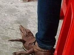 Deretan Foto Kocak yang Dibagikan Warganet, Bikin Ngakak!