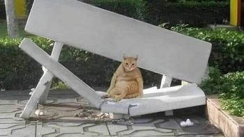 Si oyen bikin bangku patah. Foto: Instagram/hard.images