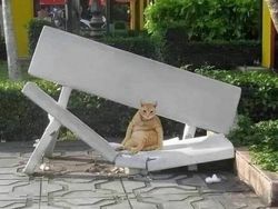 Deretan Foto Kocak yang Dibagikan Warganet, Bikin Ngakak!