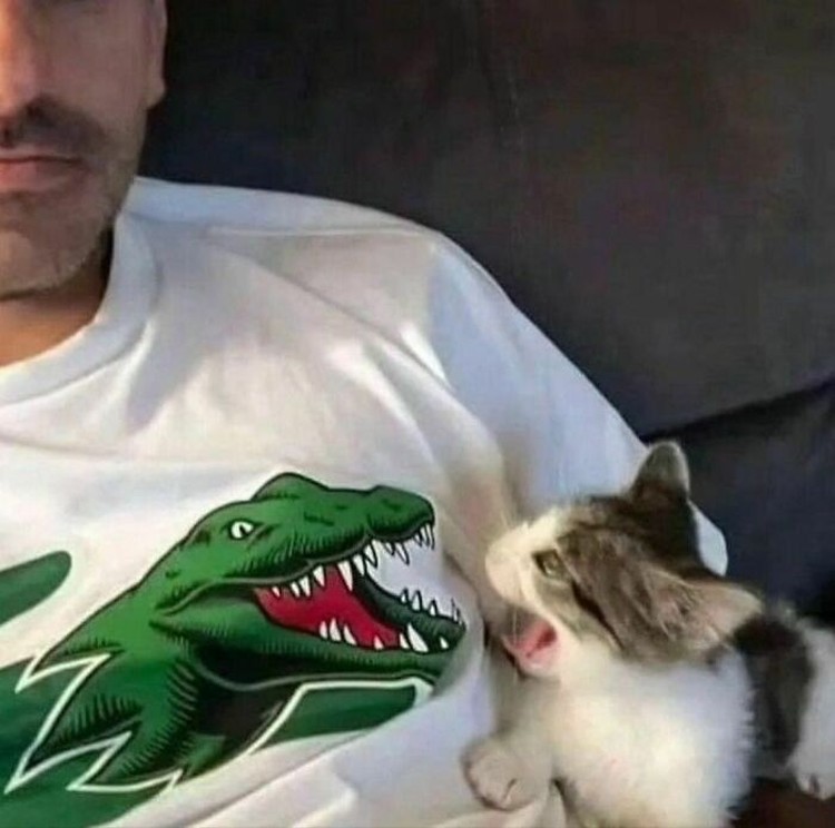 Foto Kocak Bikin Ngakak