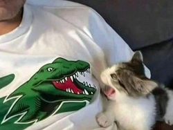 Deretan Foto Kocak yang Dibagikan Warganet, Bikin Ngakak!