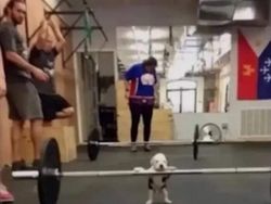 Deretan Foto Kocak yang Dibagikan Warganet, Bikin Ngakak!