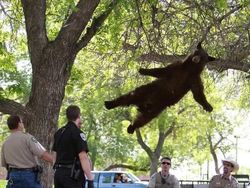 Deretan Foto Kocak yang Dibagikan Warganet, Bikin Ngakak!