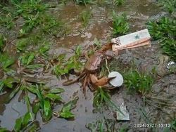 Deretan Foto Kocak yang Dibagikan Warganet, Bikin Ngakak!