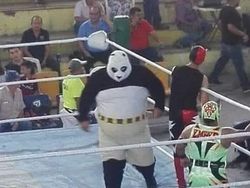 Deretan Foto Kocak yang Dibagikan Warganet, Bikin Ngakak!