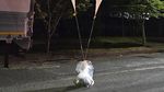 Korut Kirim Balon Raksasa Isi Sampah dan Kotoran ke Korsel