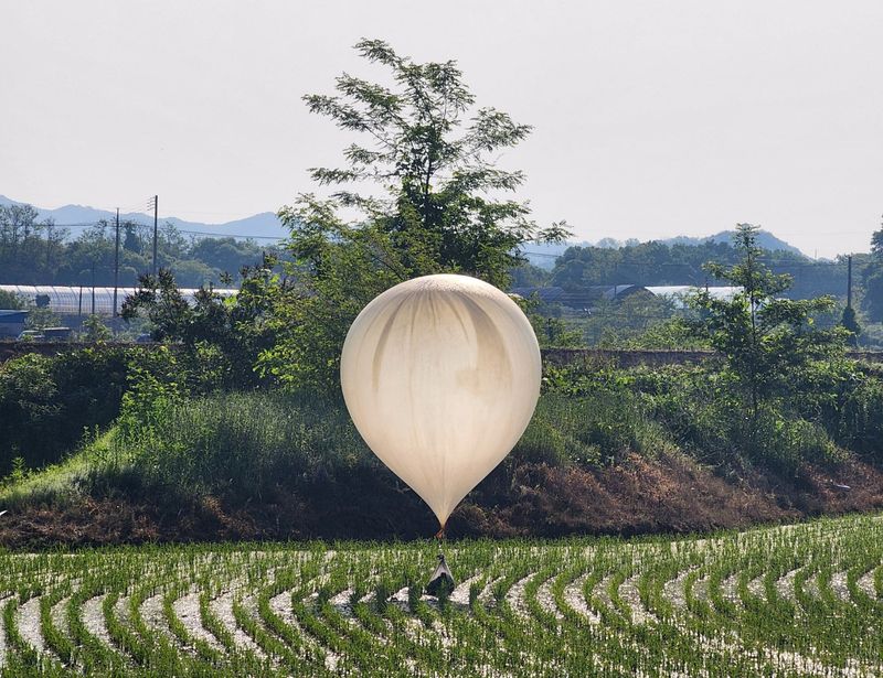 A balloon believed to have been sent by North Korea, carrying various objects including what appeared to be trash and excrement, is seen over a rice field at Cheorwon, South Korea, May 29, 2024.     Yonhap via REUTERS   THIS IMAGE HAS BEEN SUPPLIED BY A THIRD PARTY. NO RESALES. NO ARCHIVES. SOUTH KOREA OUT. NO COMMERCIAL OR EDITORIAL SALES IN SOUTH KOREA.