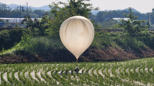 A balloon believed to have been sent by North Korea, carrying various objects including what appeared to be trash and excrement, is seen over a rice field at Cheorwon, South Korea, May 29, 2024.     Yonhap via REUTERS   THIS IMAGE HAS BEEN SUPPLIED BY A THIRD PARTY. NO RESALES. NO ARCHIVES. SOUTH KOREA OUT. NO COMMERCIAL OR EDITORIAL SALES IN SOUTH KOREA.