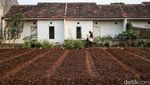 Melihat Kondisi Rumah Subsidi di Tengah Hebohnya Iuran Tapera