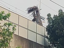 MRT: Struktur Crane di TKP Besi Jatuh Dibangun Tanpa Koordinasi