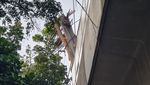 Potret Besi Jatuh dari Proyek Kejagung ke Lintasan MRT