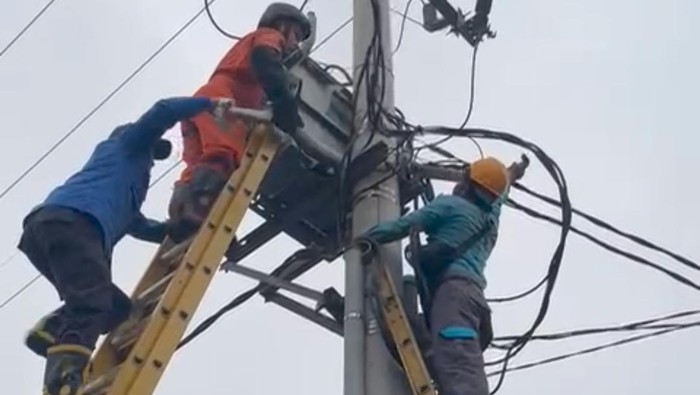 Petugas Damkar Kota Tasikmalaya saat mengevakuasi ular sanca dari trafo PLN.