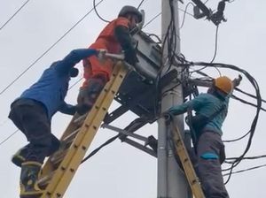 Ular Sanca 3 Meter Sebabkan Gangguan Listrik di Tasikmalaya