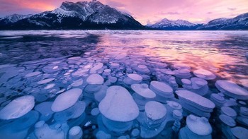 Jangan sekali-kali menyalakan api di sekitar kumpulan gelembung beku di dalam Danau Abraham, Kanada, ini, karena benda tersebut berisi gas metana yang sangat eksplosif dan mudah terbakar. (Foto: Internet)