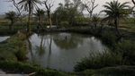Potret Pulau Ghoramara di India yang Terancam Hilang