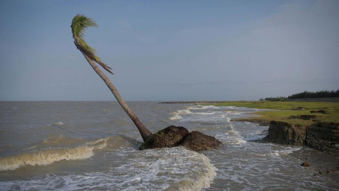 Potret Pulau Ghoramara di India yang Terancam Hilang Debasish Paul, 62, a volunteer who works independently on environmental awareness and protection of the island, stands on an embankment built with boulders to prevent erosion, on the western part of Ghoramara Island in the Sundarbans, West Bengal, India, May 17, 2024. Situated 150 kilometres (around 94 miles) south of Kolkata, media has dubbed Ghoramara the 'sinking island'. It has lost nearly half of its area to soil erosion in the last two decades and could completely disappear within a few more decades if a solution is not found. In the decade of 2020, the population has fallen to around 4,000 from 7,000. REUTERS/Avijit Ghosh SEARCH