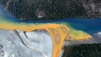Temuan ini mengejutkan para peneliti dari National Park Service, University of California di Davis dan US Geological Survey. Mereka melakukan tes di 75 lokasi di saluran air di Brooks Range, Alaska.