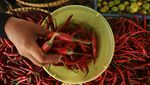 Duh! Harga Cabai Keriting Melambung Tembus Rp 72 Ribu/Kg