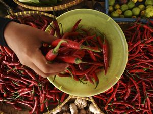 Harga Sembako Jogja Hari Ini 27 Oktober 2025: Cabai Merah Besar Terus Melandai!