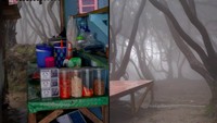 Keren! Warung Makan dengan Panorama Hutan Kabut ala Film Harry Potter