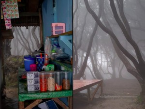 Keren! Warung Makan dengan Panorama Hutan Kabut ala Film Harry Potter