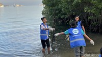 Kementerian Pariwisata dan Ekonomi Kreatif (Kemenparekraf) mengapresiasi AQUA atas gerakan bersih-bersih pantai bersama pegiat lingkungan Pandawara Group yang dilakukan di salah satu pantai Labuan Bajo, yakni pantai Binongko. Foto: Suci Risanti/detikHealth