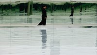 Instalasinya yang menggabungkan lukisan, objek, suara, dan gambar bergerak, memanipulasi fenomena alam untuk memprovokasi pengalaman sensorik yang mendalam. Sebagai seniman termuda yang pernah mengadakan pameran tunggal di Museum of Contemporary Art Tokyo, karya Kangawa yang ekstensif akan dipamerkan di Eugene Museum, menampilkan lebih dari 15 instalasi permanen, termasuk karya-karya yang sudah ada dan yang baru dipesan. 