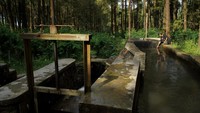 Seorang warga membersihkan saluran bak penenang air turbin yang merupakan Pembangkit Listrik Tenaga Mikro Hidro (PLTMH) di Desa Sumberwuluh, Kecamatan Candipuro, Lumajang, Jawa Timur.  