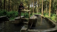 Sumber energi terbarukan yang dikembangkan swadaya dari tahun 1992 tersebut mampu menghasilkan listrik rata-rata 20.000-30.000 kilowatt pada kondisi debit air normal untuk mengakomodasi listrik ke 116 kk di wilayah itu.  