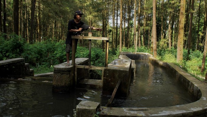 Seorang warga membuka saluran bak penenang air turbin yang merupakan Pembangkit Listrik Tenaga Mikro Hidro (PLTMH) di Desa Sumberwuluh, Kecamatan Candipuro, Lumajang, Jawa Timur, Jumat (31/5/2024). Sumber energi terbarukan yang dikembangkan swadaya dari tahun 1992 tersebut mampu menghasilkan listrik rata-rata 20.000-30.000 kilowatt pada kondisi debit air normal untuk mengakomodasi listrik ke 116 kk di wilayah itu. ANTARA FOTO/Irfan Sumanjaya/Spt.