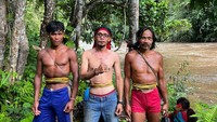 Suku Togutil Punya Tradisi Menjunjung Tinggi Perempuan, Anti Menebang Pohon