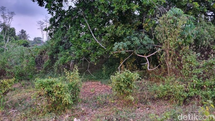 Suasana lokasi yang diduga menjadi pusat situs Gunung Wingko, Srigading, Sanden, Bantul, Kamis (30/5/2024).