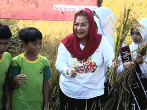 Walkot Semarang Ingin Kembangkan Balai Benih Pertanian Jadi Agrowisata