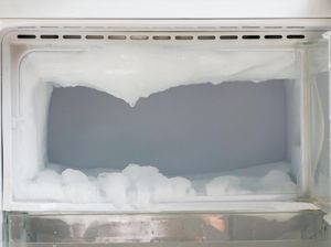 6 Rahasia Mudah Membersihkan Bunga Es Tanpa Mematikan Freezer