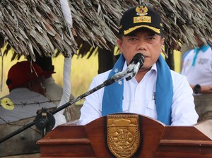 Pemprov Jambi Optimasi Lahan Tidur Jadi Area Pertanian