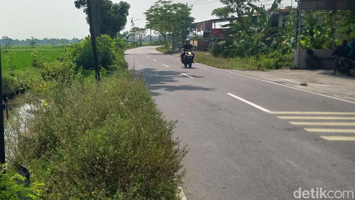 Jalan Posis-Cawas sekitar Desa Japanan, Kecamatan Cawas, yang dekat sawah. Foto diunggah Sabtu (1/6/2024) siang.