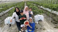 Sering diajak liburan ke berbagai negara oleh Raffi dan Nagita, ini keseruan Mba Lala saat menemani Rafathar memetik strawberry di Jepang. Foto: Instagram/YouTube @shela_lala96