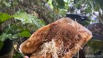 Makan Yamien Sambil Menikmati Suasana Sejuk Dago di Warung Lela