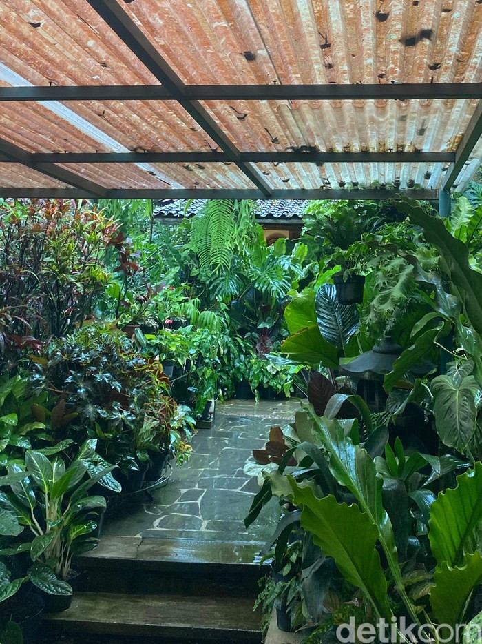 Wale Wale, Warung Lela yang tawarkan yamien manis di Dago Atas